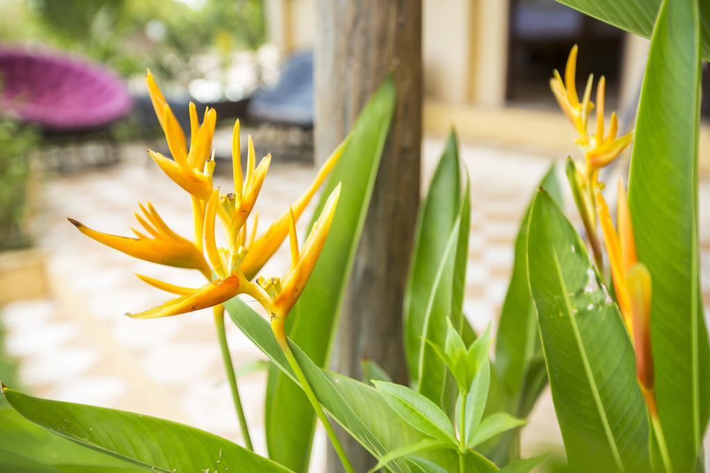 Champa alojamiento Kampot Exterior foto