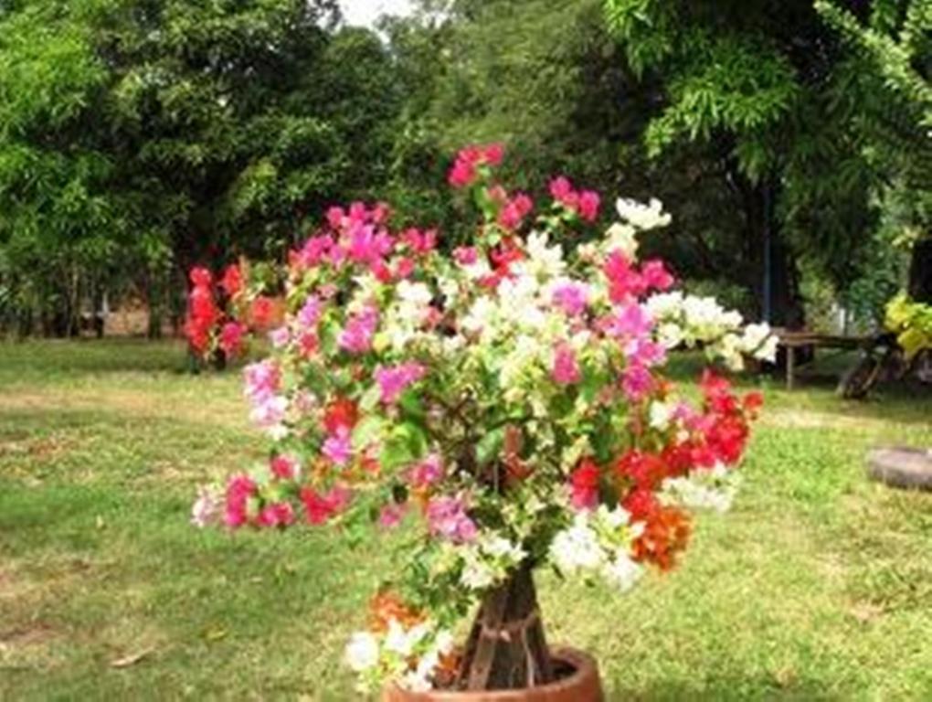 Champa alojamiento Kampot Exterior foto