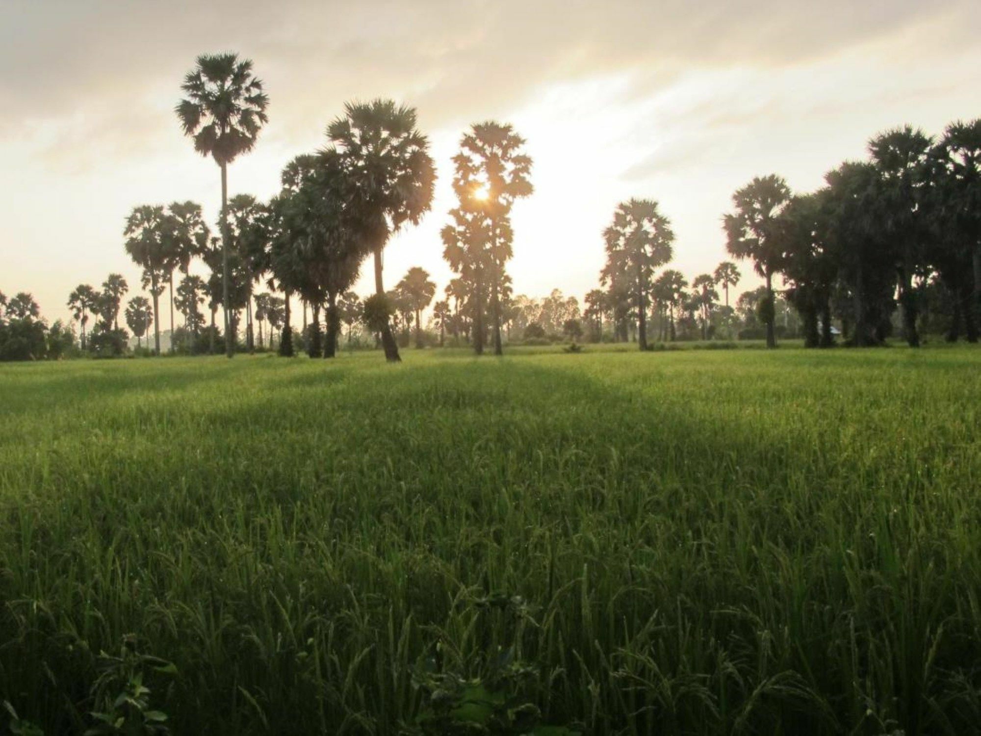 Champa alojamiento Kampot Exterior foto